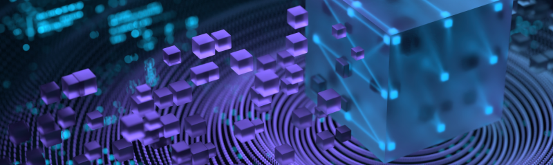 Top Data Security Tips You Need to Know