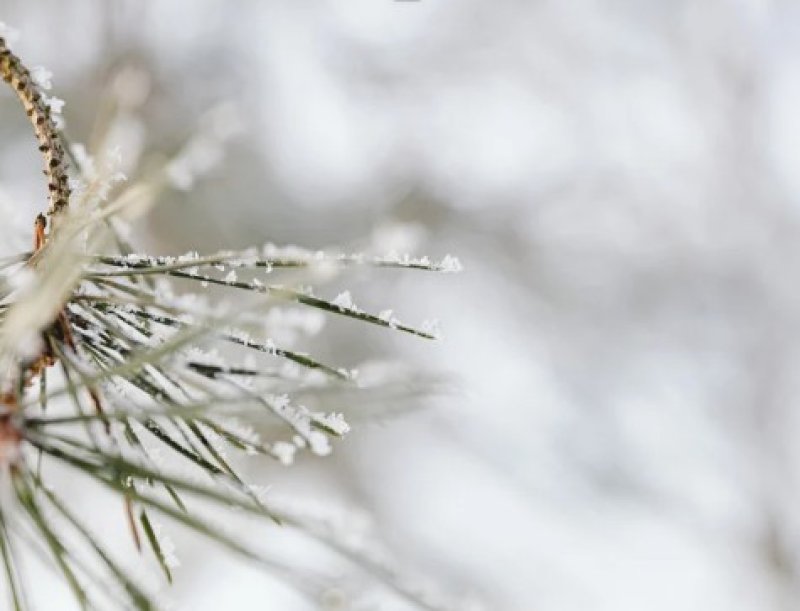 January 